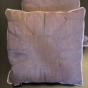 Pair of pillows with inserts